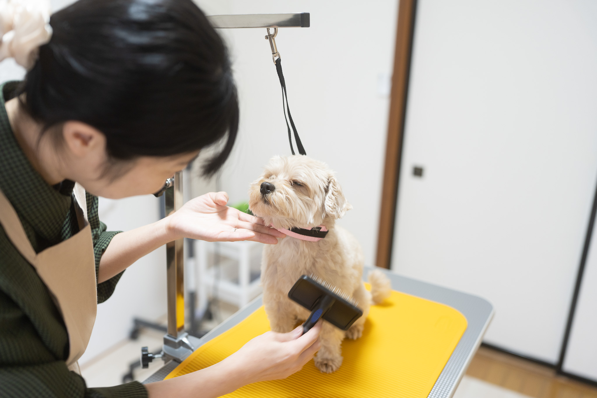 パピートリミングで大切にしていること