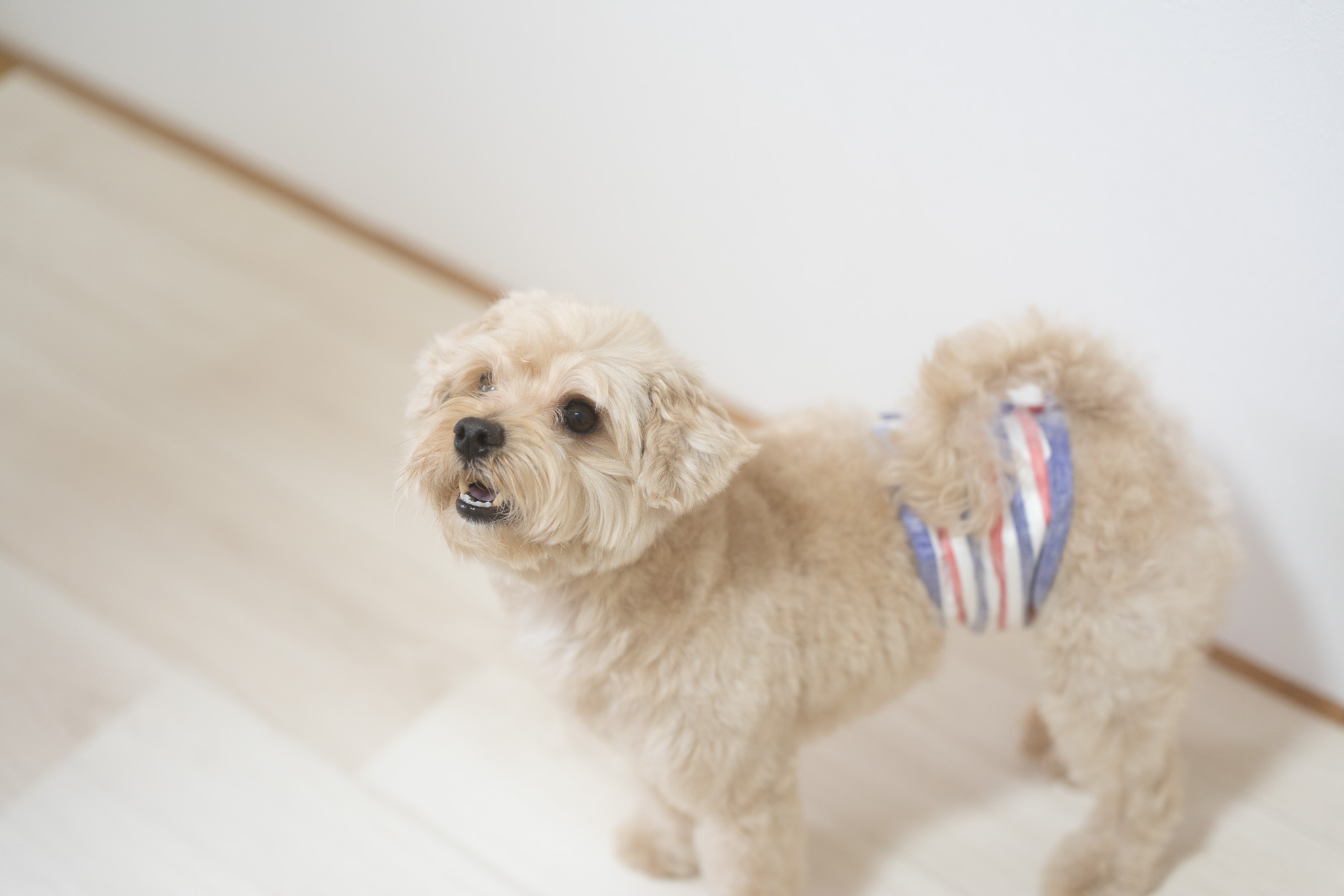 ブロー後には休憩を挟むことも