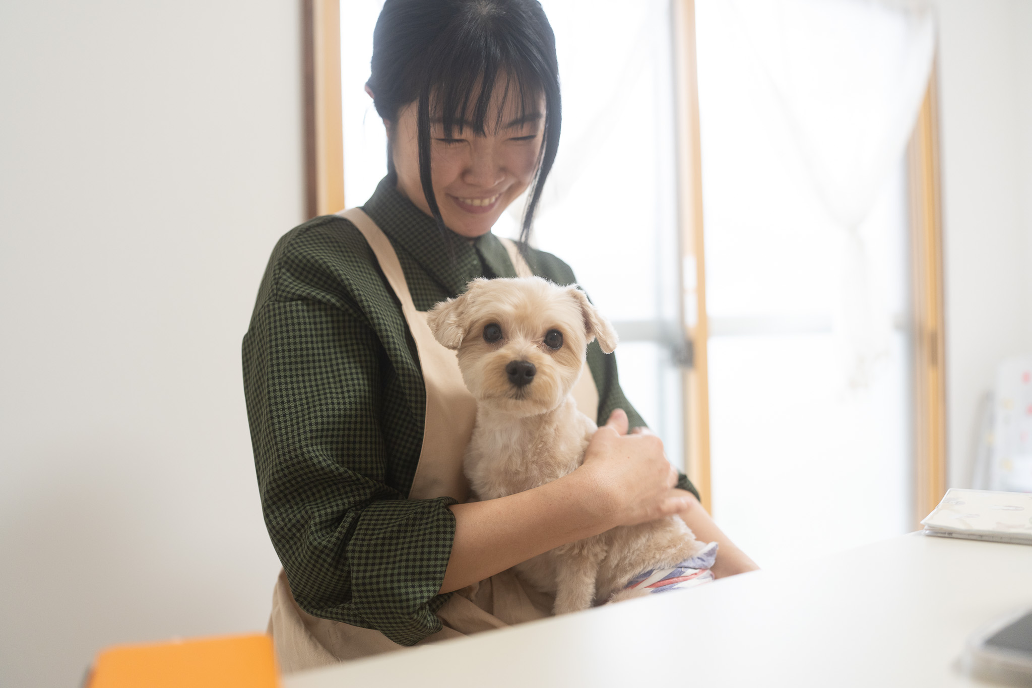 わんこの質問、大歓迎です